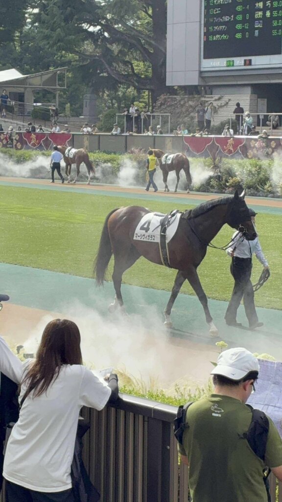 競馬イベント